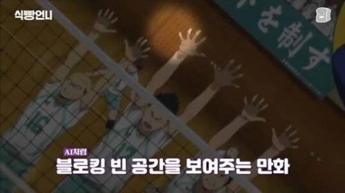 [스압] 김연경의 배구 만화 하이큐 리뷰.jpg
