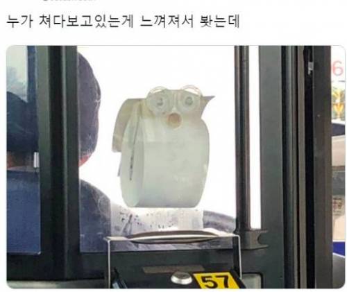 누가 쳐다보고 있는 게 느껴져서 봤는데