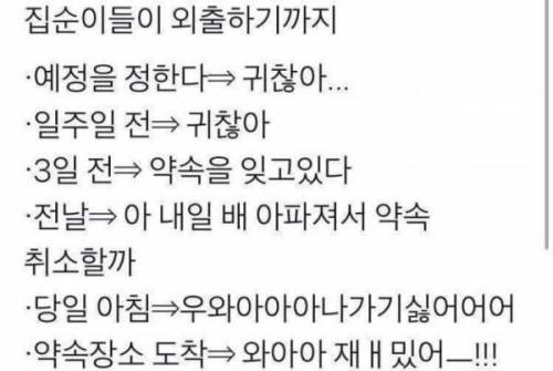 집순이들이 외출하기까지