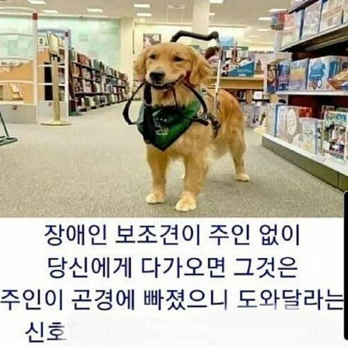 알아두면 좋은 점.jpg