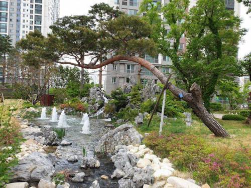 요즘 아파트 조경.jpg