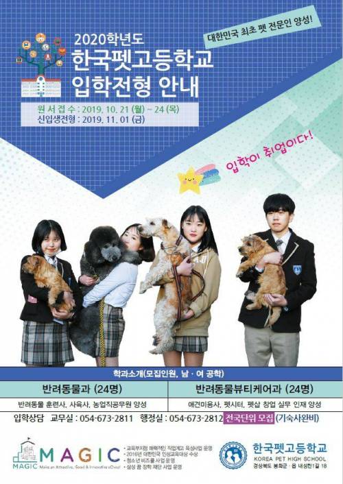 한국 펫 고등학교 - 고급유머 한국 펫 고등학교