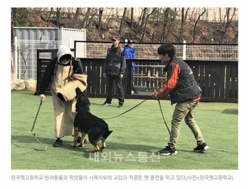 한국 펫 고등학교
