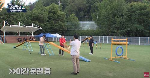 한국 펫 고등학교