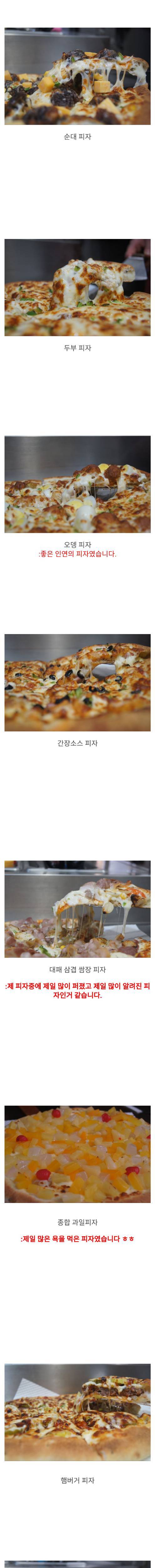 [스압] 특이한 피자 많이 만드는 펨코인