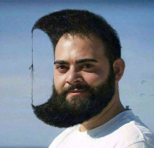 초승달컷.jpg