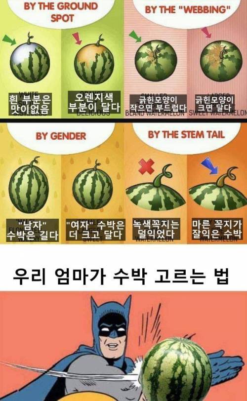 수박 고르는 방법.jpg