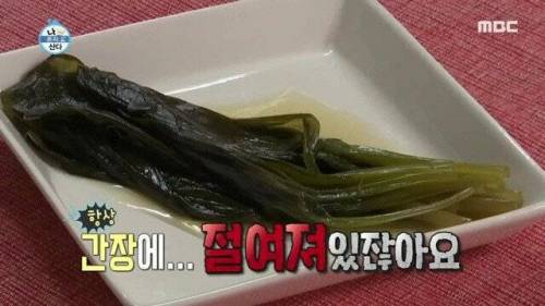 살아있는거 처음보는 식물.jpg