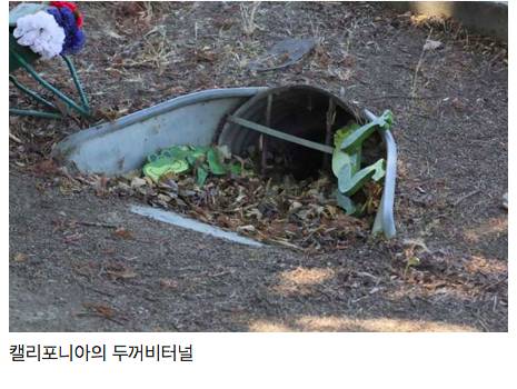 매년 1000마리 이상의 동물을 구하는 생태통로의 모습