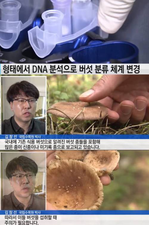 야산에 있는 버섯은 절대 먹으면 안 되는 이유..jpg