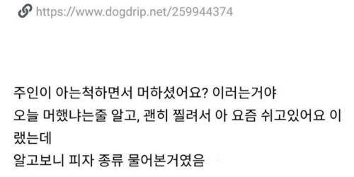 피자 사러 갔는데.jpg