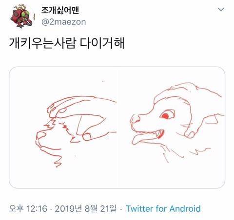 개 키우는 사람 다 이거 한데!!