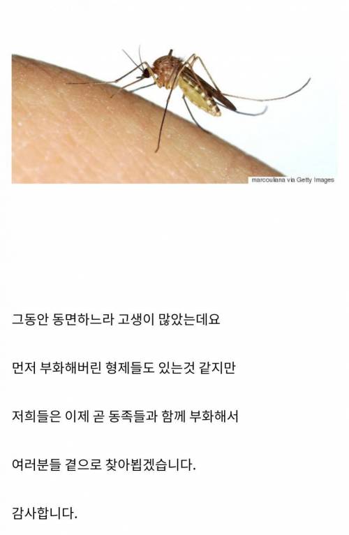 반갑지 않지만 곧 올 손님