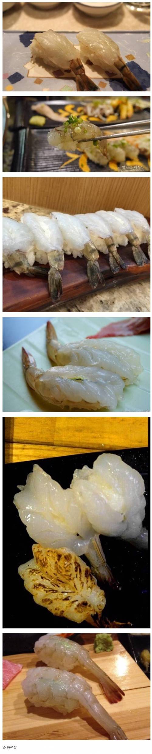호불호 갈리는 초밥.jpg
