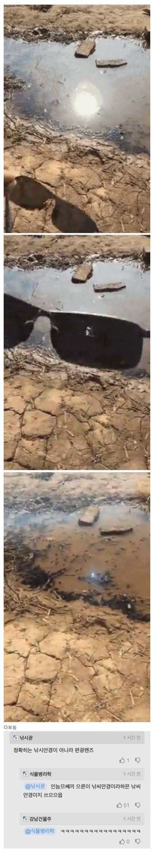 낚시 안경 써야 하는 이유