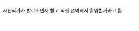 [스압] 어느 사진작가가 발견한 쌍둥이 수준의 타인.jpg