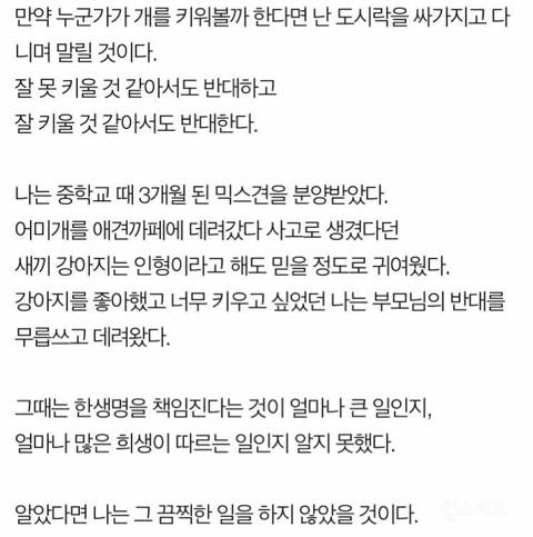 나는 개를 키운것을 후회한다