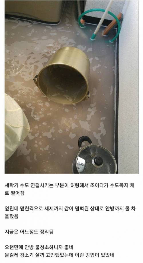 수도터진 루리웹인.jpg