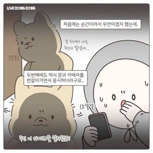 주인이랑 놀아주는 똑똑한 강아지