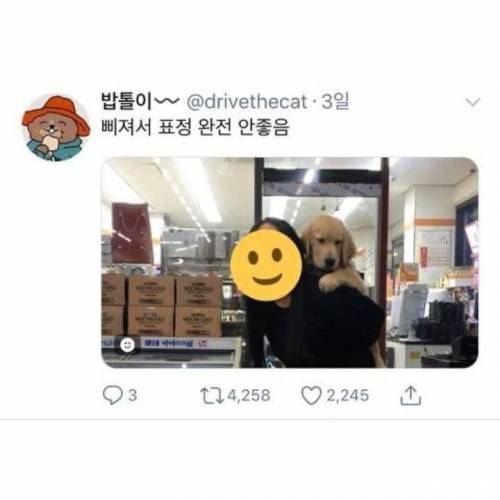 괜히 뭐라고 했다가 삐져버린 댕댕이.jpg