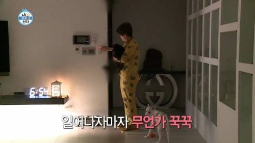 [스압] 출연자들 중 박세리 집이 제일 좋은거 같다는 기안84.jpg