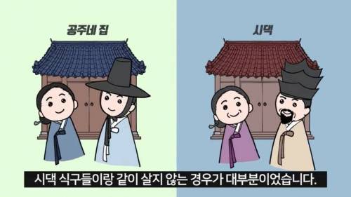 [스압] 조선시대 공주랑 결혼하면 생기는 일