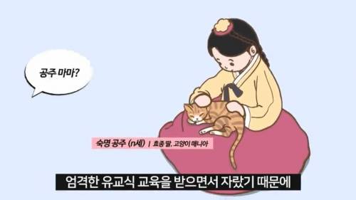 [스압] 조선시대 공주랑 결혼하면 생기는 일