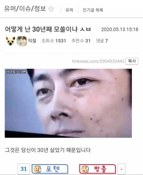 어떻게 난 30년째 모쏠이냐