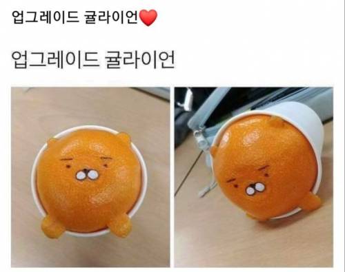 업그레이드 귤라이언.jpg