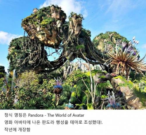 [스압] 디즈니월드 놀이기구 레전드..jpg