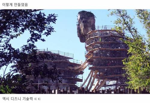 [스압] 디즈니월드 놀이기구 레전드..jpg