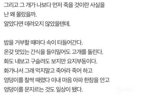 나는 개를 키운것을 후회한다
