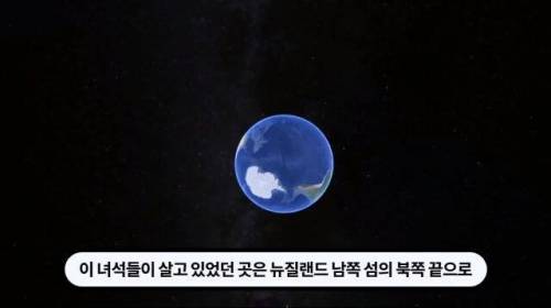 [스압] 한 마리 포식자로 인해 멸종당한 새