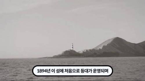 [스압] 한 마리 포식자로 인해 멸종당한 새