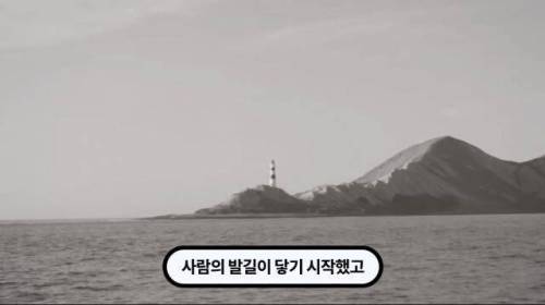 [스압] 한 마리 포식자로 인해 멸종당한 새