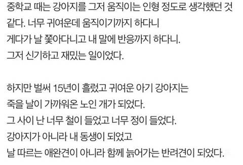 나는 개를 키운것을 후회한다
