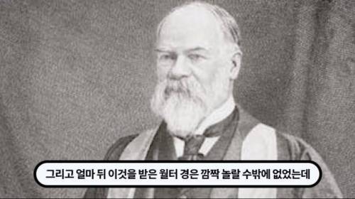 [스압] 한 마리 포식자로 인해 멸종당한 새