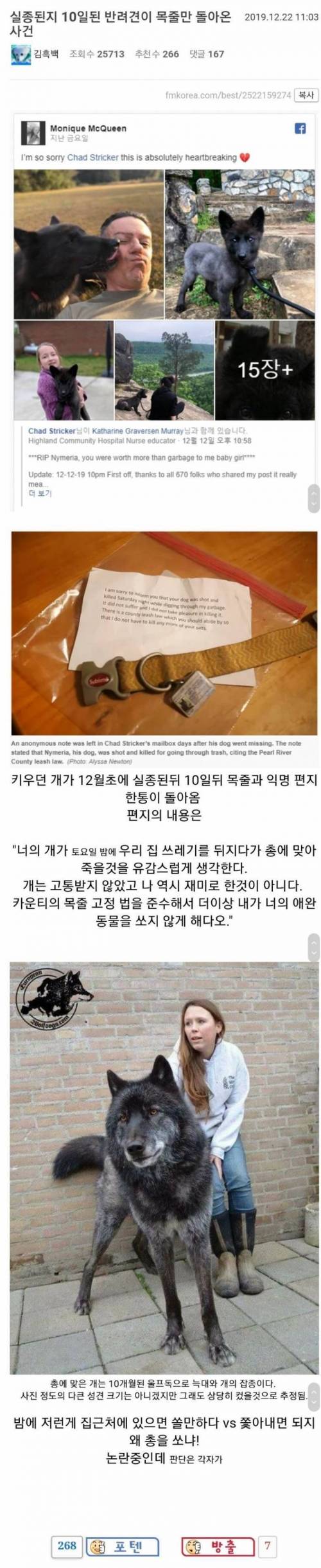실종된지 10일된 반려견이 목줄만 돌아온 사건