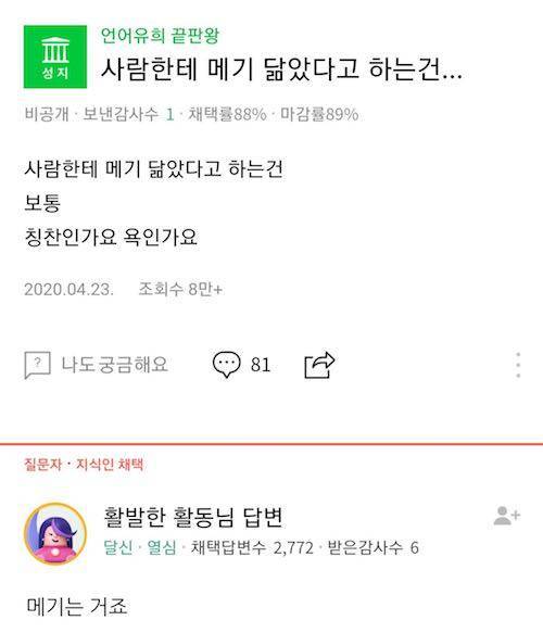 저보고 메기 닮았다는데 이거 욕인가요?