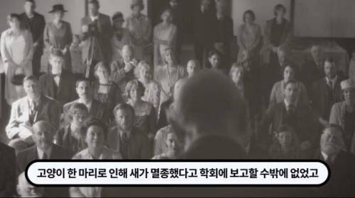 [스압] 한 마리 포식자로 인해 멸종당한 새