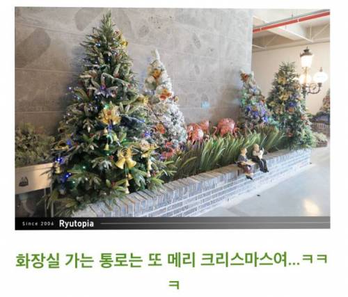 [스압] 비범한 기운이 느껴지는 경남 진주의 한 카페.jpg