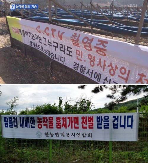 농사 짓기 헬인 이유.hell