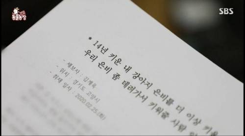 [스압] 14년을 함께한 반려견을 파양하는 이야기