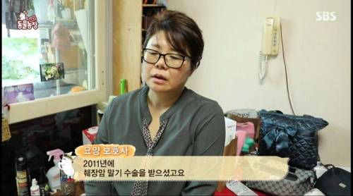 [스압] 14년을 함께한 반려견을 파양하는 이야기