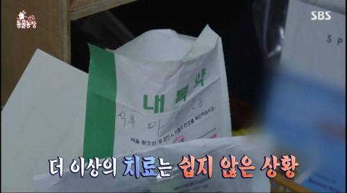 [스압] 14년을 함께한 반려견을 파양하는 이야기