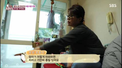 [스압] 14년을 함께한 반려견을 파양하는 이야기
