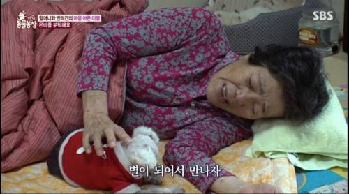 [스압] 14년을 함께한 반려견을 파양하는 이야기