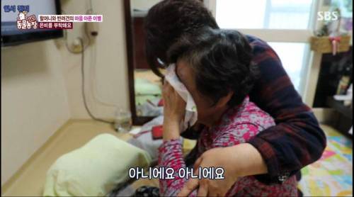 [스압] 14년을 함께한 반려견을 파양하는 이야기