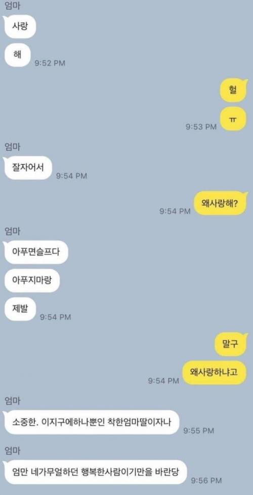 [스압] 여러분들 엄마가 보낸 문자 해킹해봤음