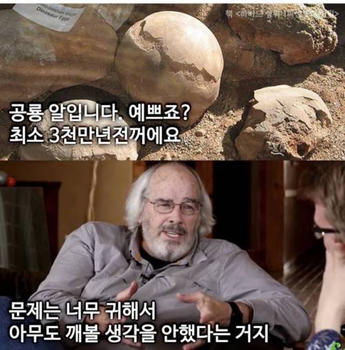 인생이 꽉막힐땐 공룡알을 떠올리세요